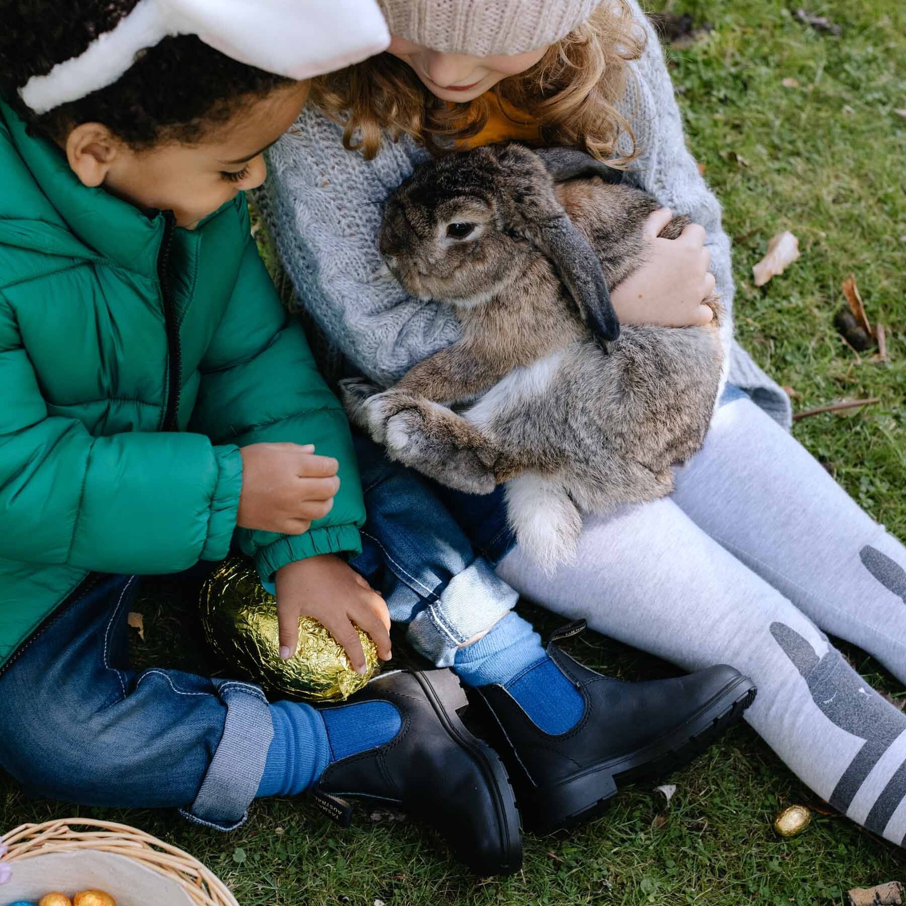 Imagen del producto 5